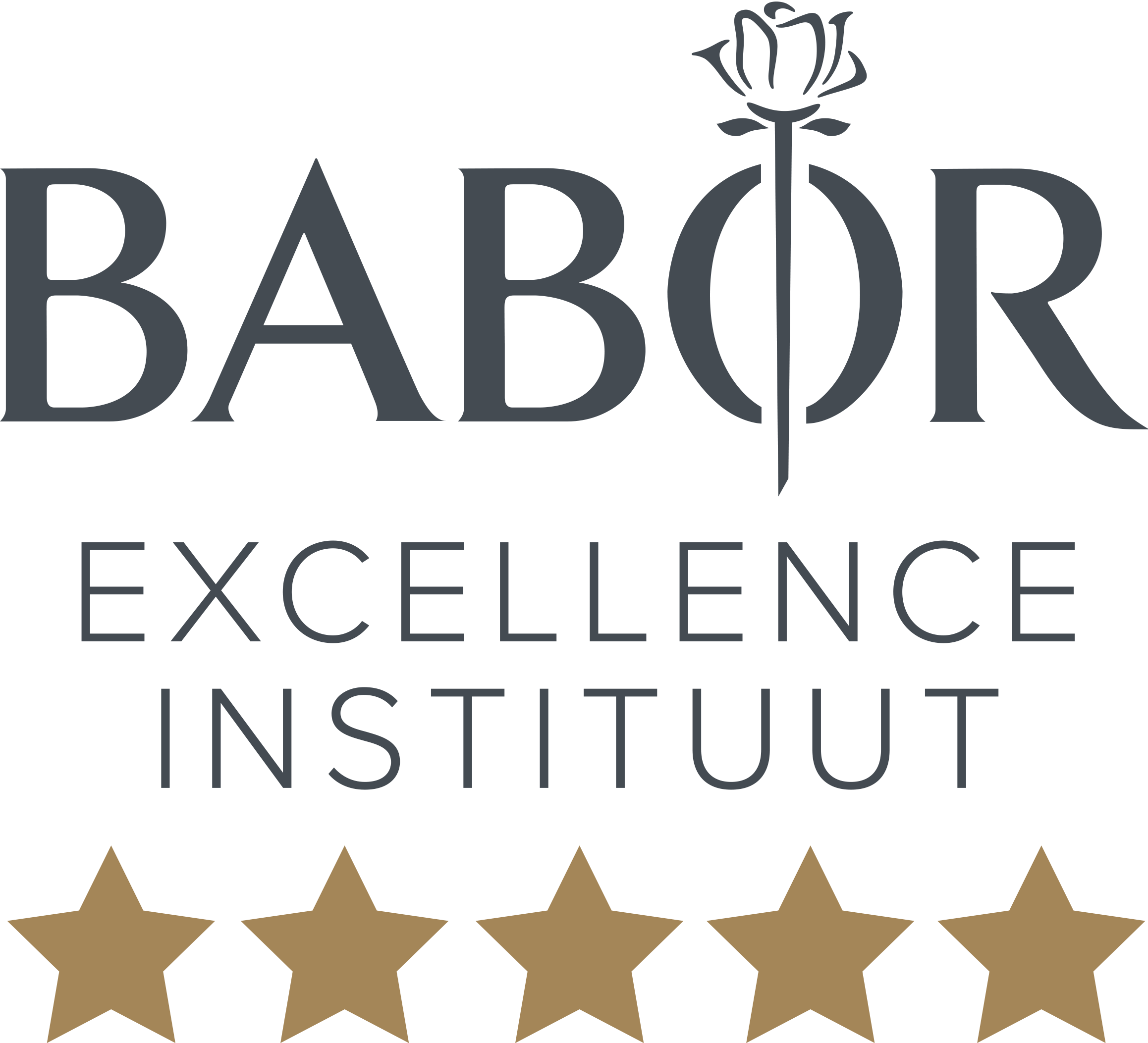 Babor Excellence Instituut